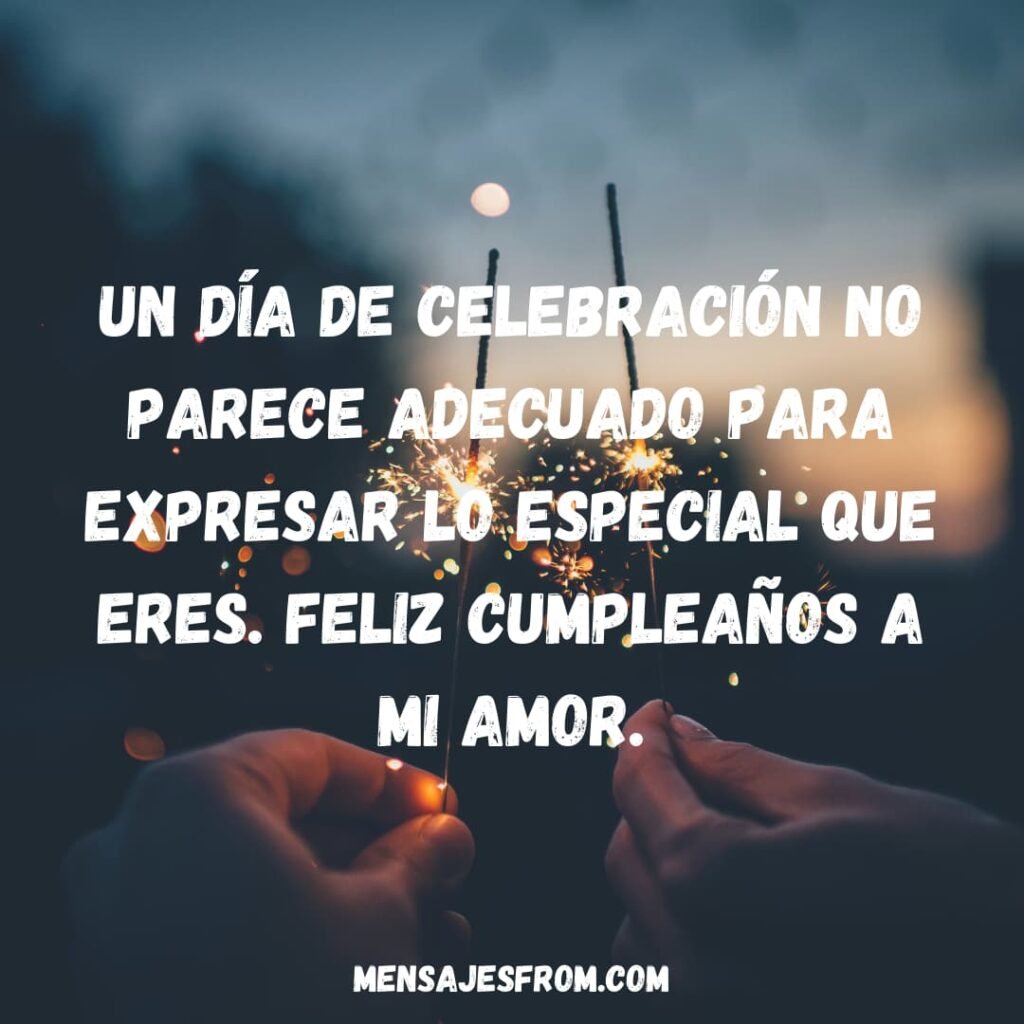 Un día de celebración no parece adecuado para expresar lo especial que eres. Feliz cumpleaños a mi amor