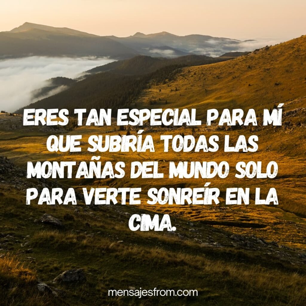 Eres tan especial para mí que subiría todas las montañas del mundo solo para verte sonreír en la cima.