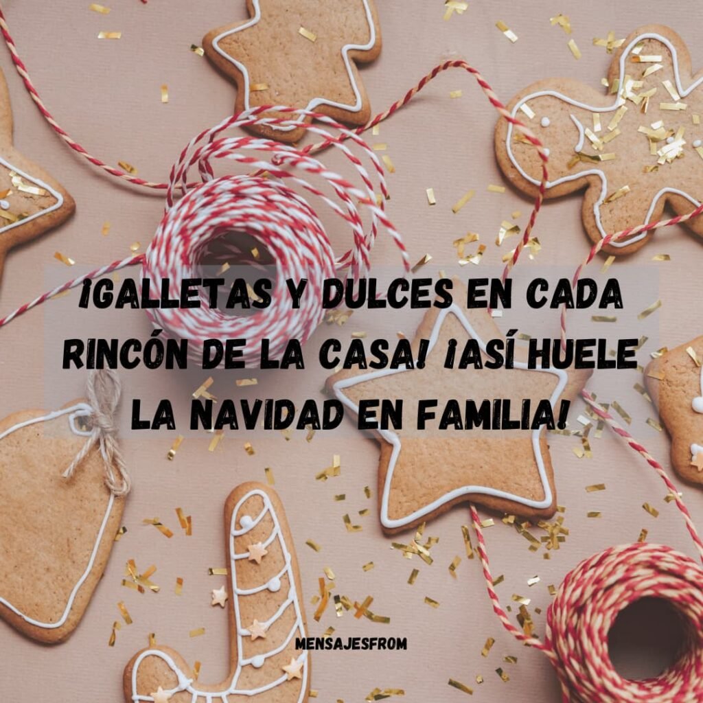 Ejemplos de feliz navidad para la familia