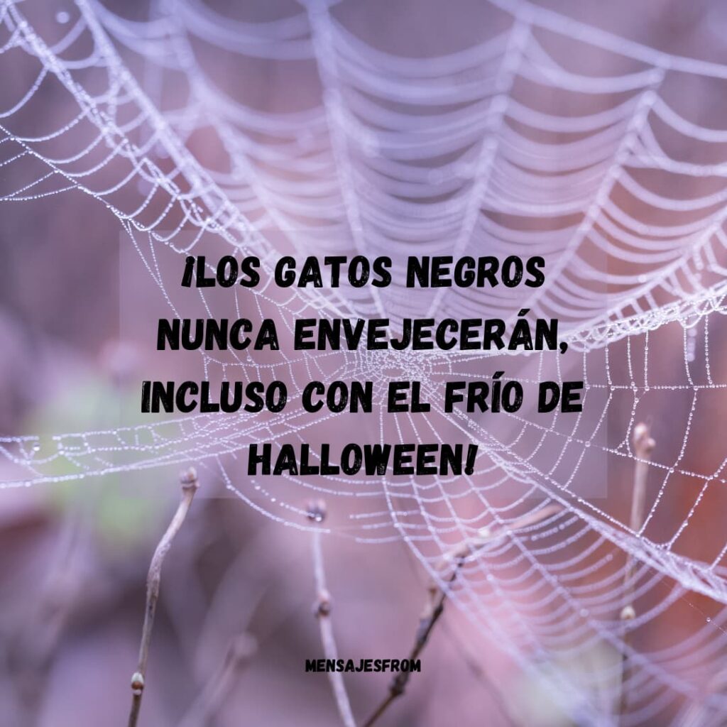 Frases de miedo para Halloween